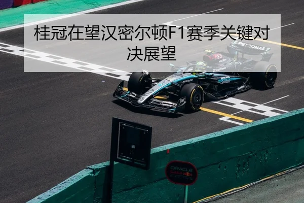 桂冠在望汉密尔顿F1赛季关键对决展望 - 188sports